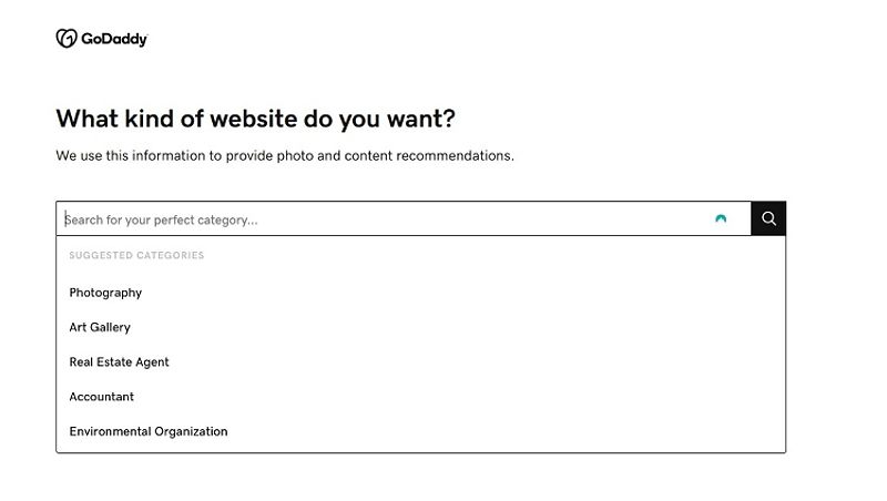 GoDaddy-questionaire